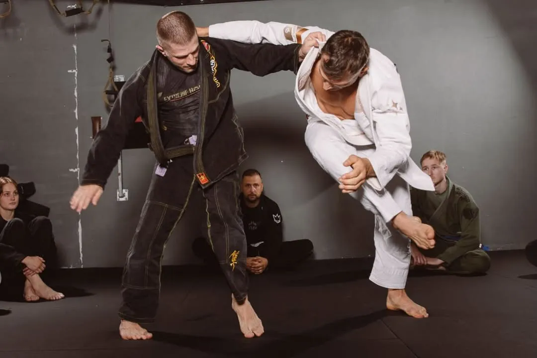 Treino